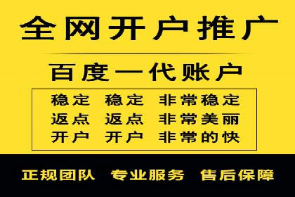 专业SEM运营托管服务案例分析