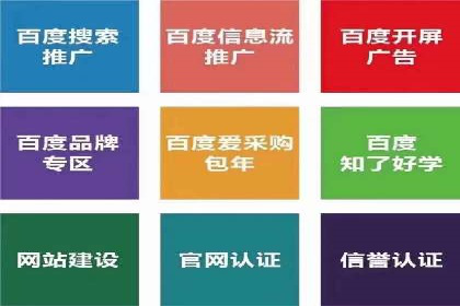 SEM代运营公司案例分析报告
